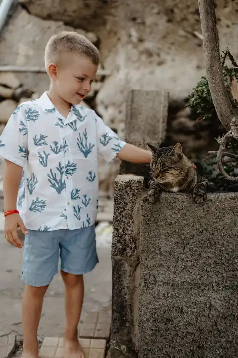 W kanaryjskim klimacie - Photo 4